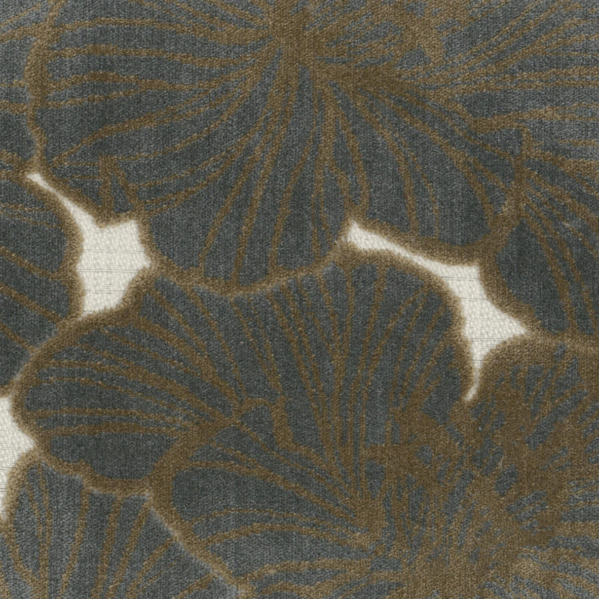 Eade's DELP-1-sample SHADOW