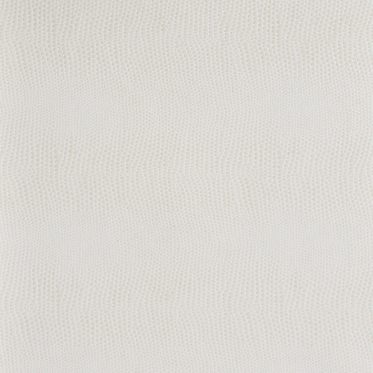 KRAVET DESIGN DEREK.1.0 KRAVET DESIGN DEREK-1 Fabric - Eade's Wallpaper