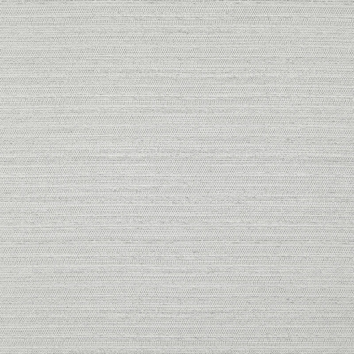 Eade’s # 703 SILVER