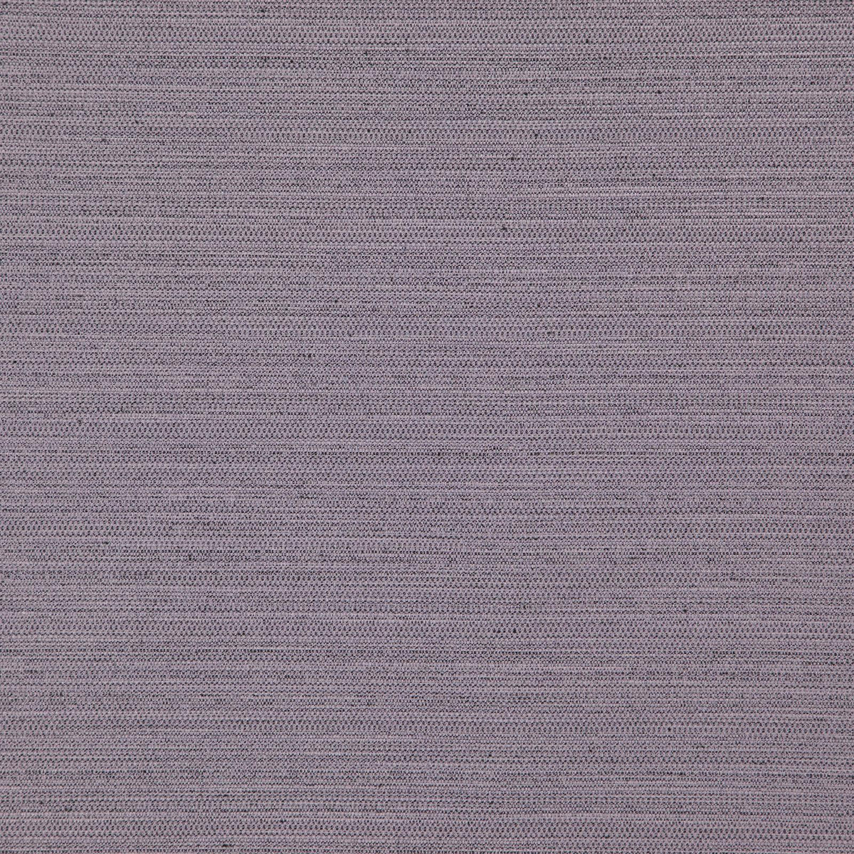 Eade’s # 717 PLUM