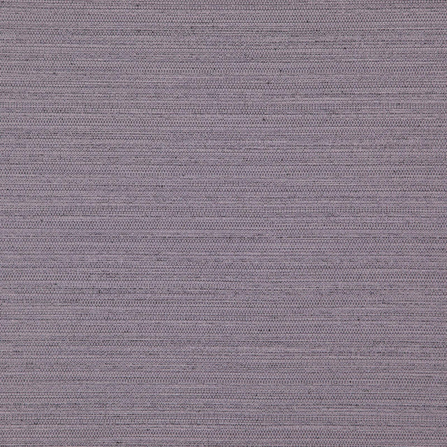 Eade’s # 717 PLUM