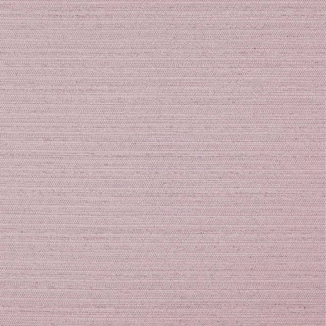 Eade’s # 718 LILAC