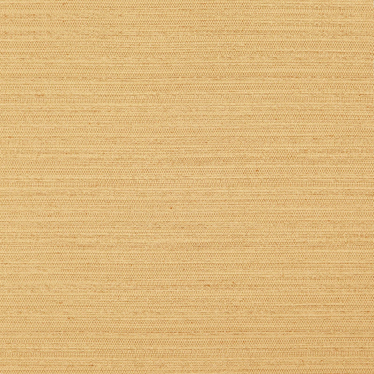 Eade’s # 728 GOLD