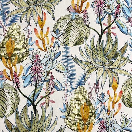 Eade’s DIDJA MULTI MULTI