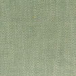 Eade's DIMI-1-sample SEEDLING
