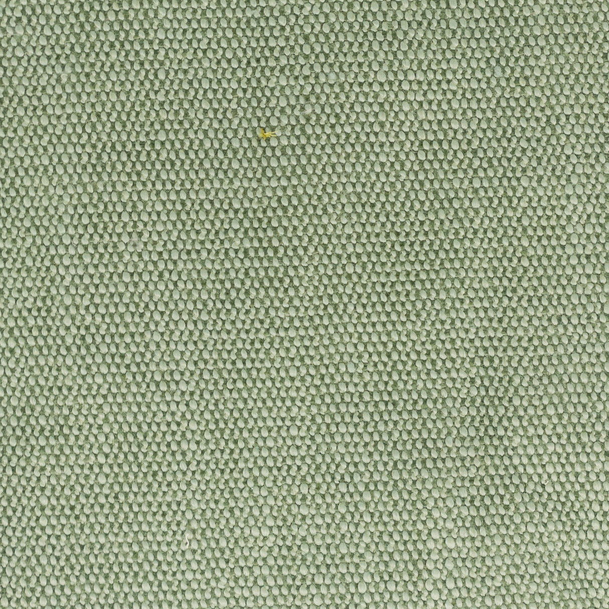 Eade's DIMI-1-sample SEEDLING