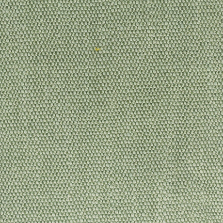 Eade's DIMI-1-sample SEEDLING