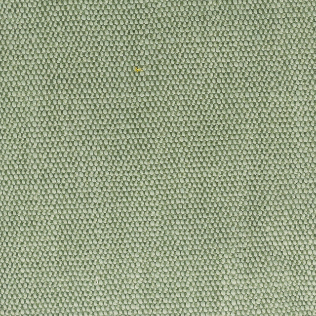 Eade's DIMI-1-sample SEEDLING