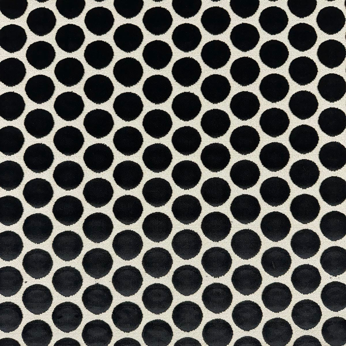 Eade’s DISKY EBONY EBONY