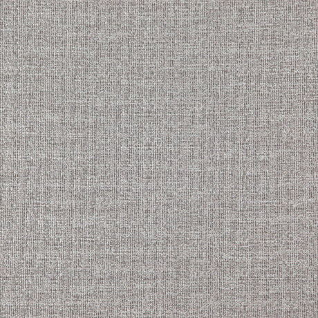 Eade’s # 12 CHINCHILLA