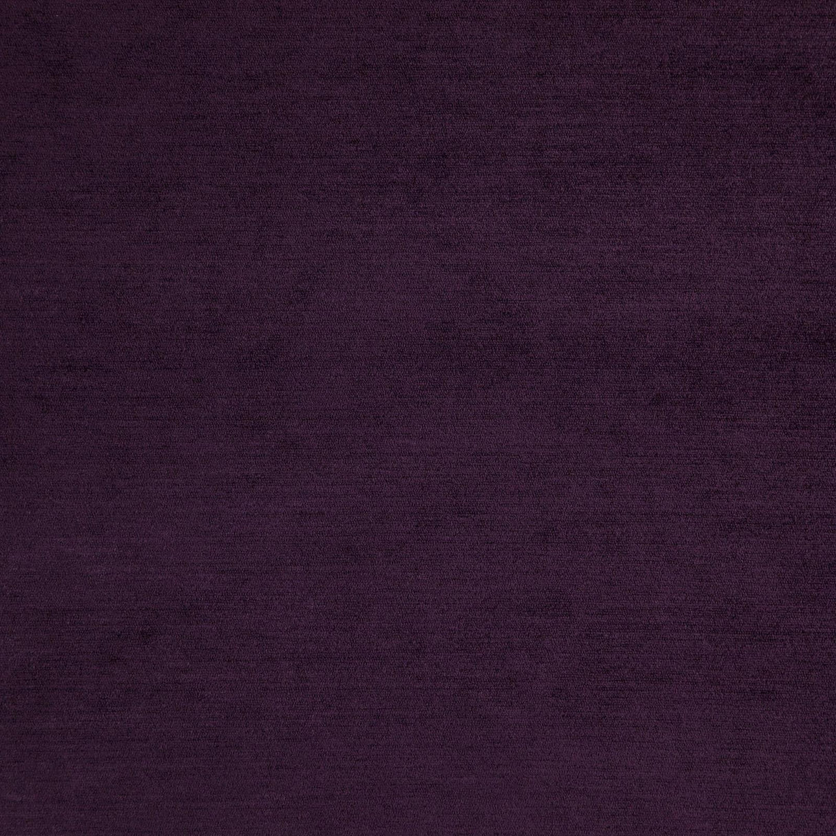Eade’s # 24 PLUM