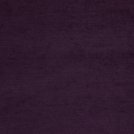 Eade’s # 24 PLUM