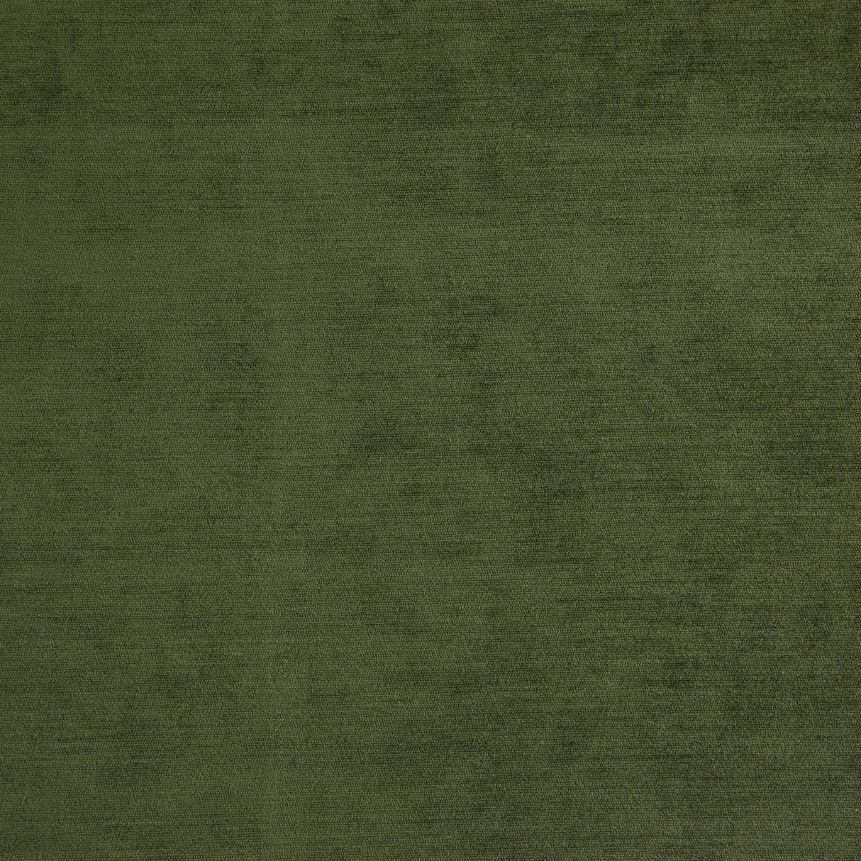 Eade’s # 38 OLIVE
