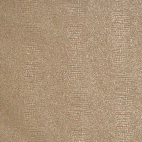 Eade’s DOC GLITZ GLITZ