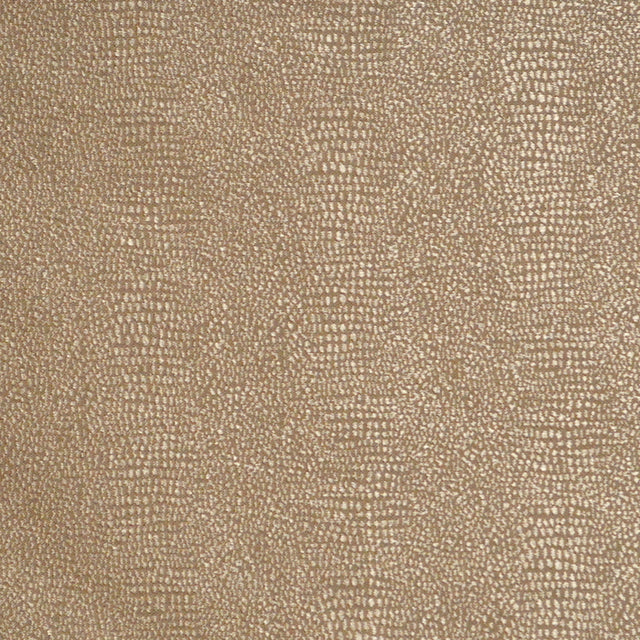 Eade’s DOC GLITZ GLITZ