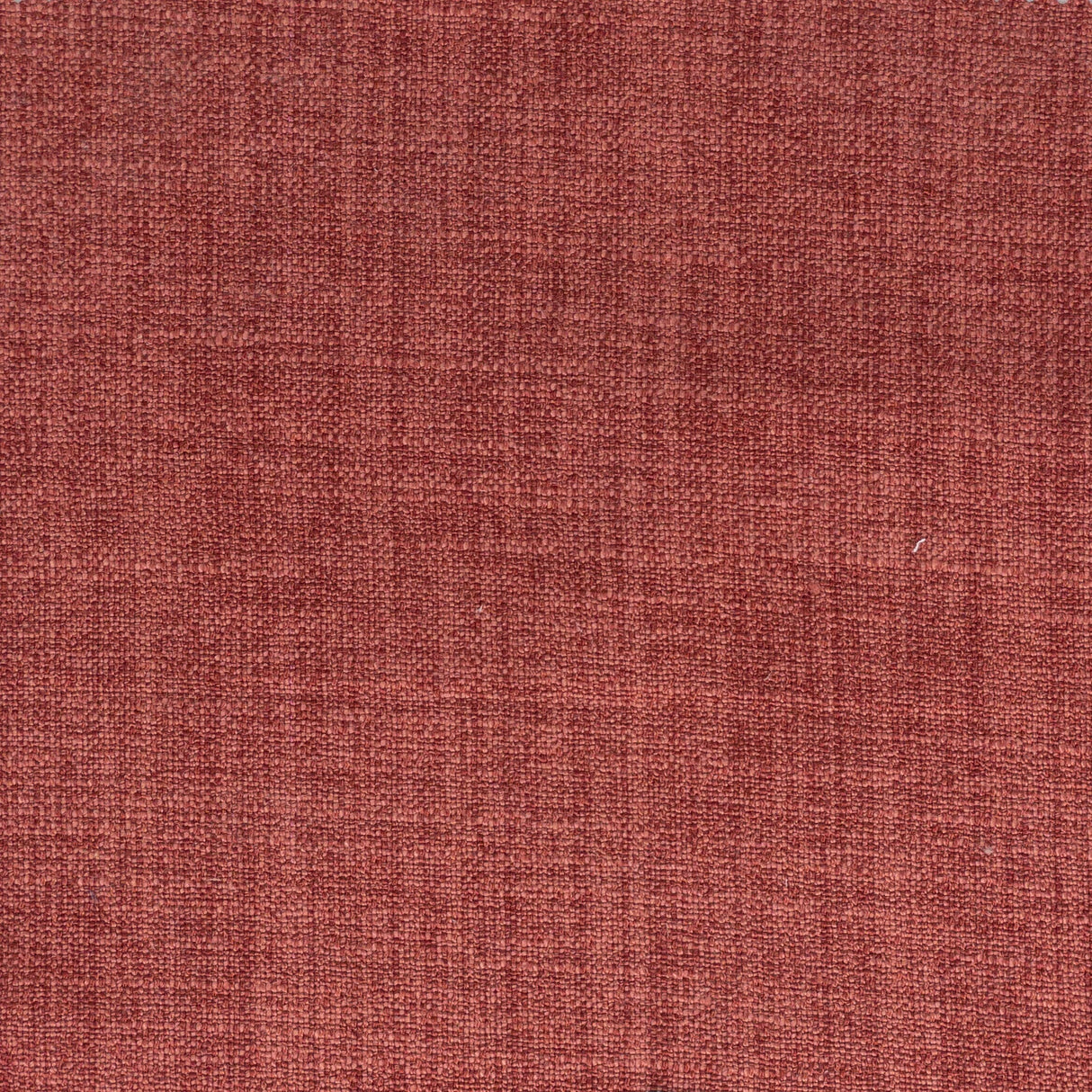 Eade's DOLL-3-sample RASBERRY