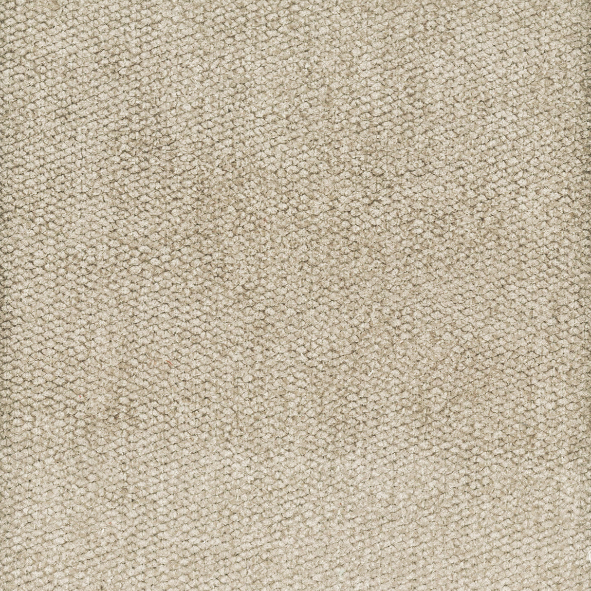 STOUT DOME-2 DOME 2 DOVE Fabric - Eades Wallpaper & Fabric