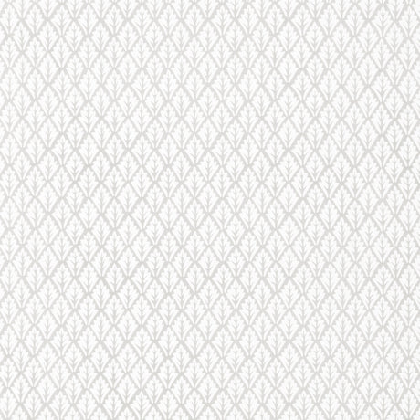 KRAVET BASICS DORSO.11.0 DORSO PORCINI Fabric - Eade's Wallpaper