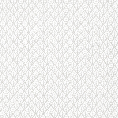 KRAVET BASICS DORSO.11.0 DORSO PORCINI Fabric - Eade's Wallpaper