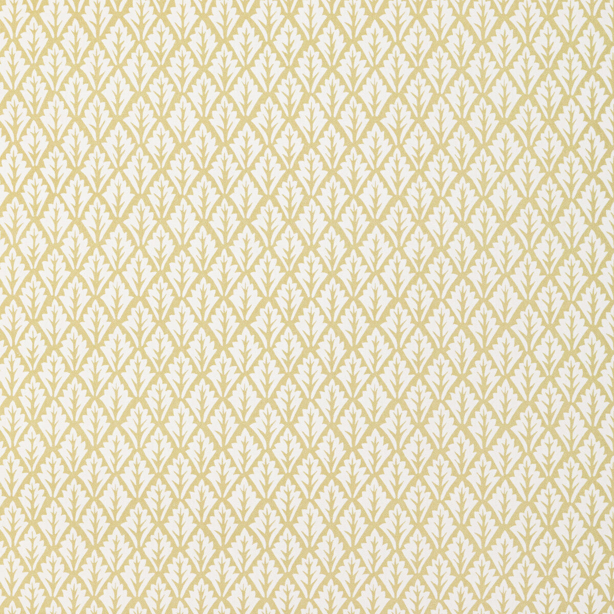 KRAVET BASICS DORSO.16.0 DORSO MAIZE Fabric - Eade's Wallpaper