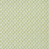 KRAVET BASICS DORSO.23.0 DORSO OLIVE Fabric - Eade's Wallpaper