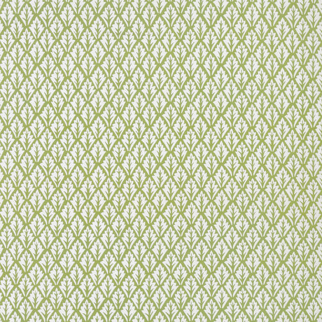 KRAVET BASICS DORSO.23.0 DORSO OLIVE Fabric - Eade's Wallpaper