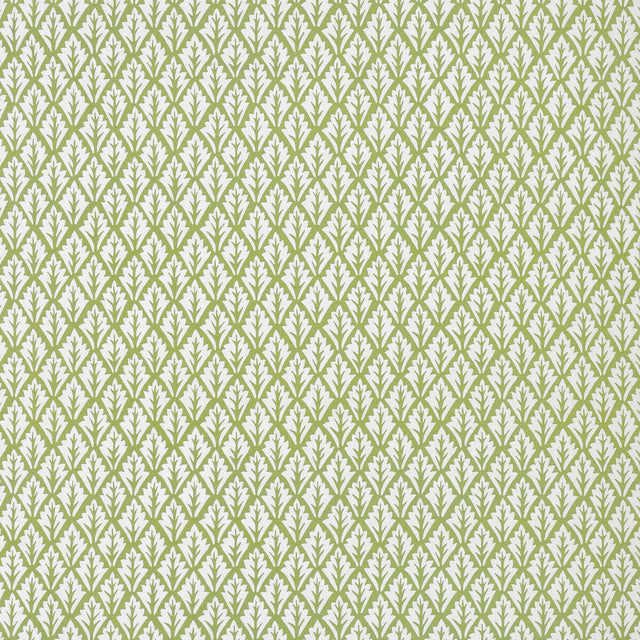 KRAVET BASICS DORSO.23.0 DORSO OLIVE Fabric - Eade's Wallpaper
