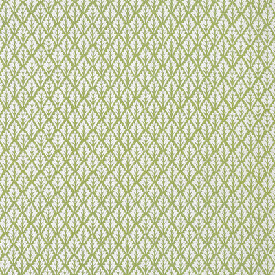 KRAVET BASICS DORSO.23.0 DORSO OLIVE Fabric - Eade's Wallpaper