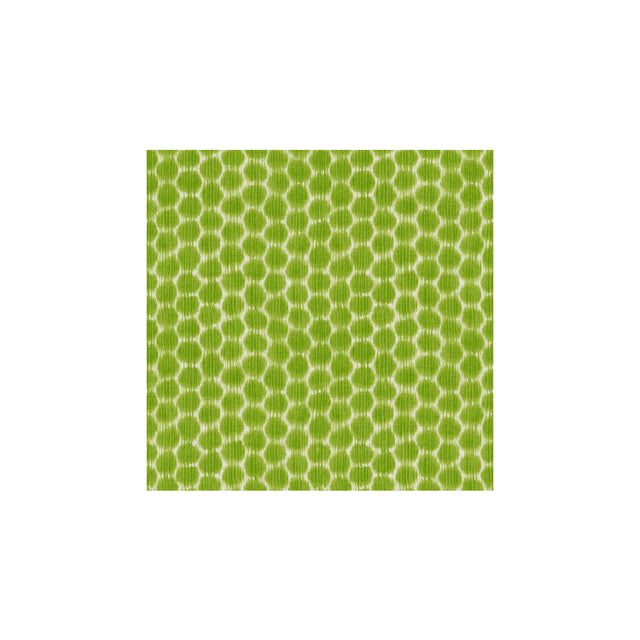 KRAVET DESIGN DOTKAT.3.0 DOTKAT GLADE Fabric - Eade's Wallpaper