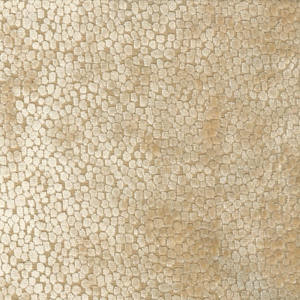 Eade’s DOTSON BONE BONE