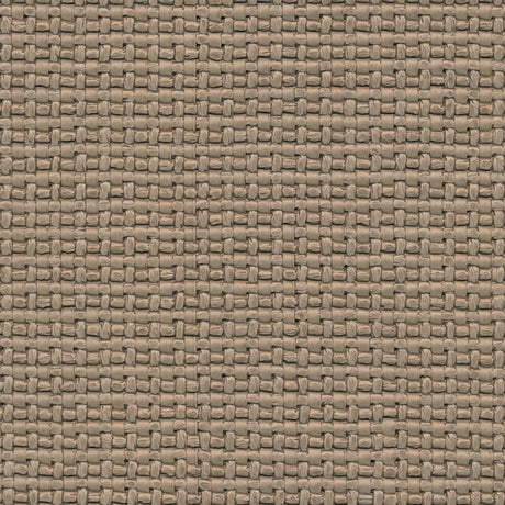 Eade’s # 114 PUMICE