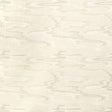 KRAVET BASICS DREAMLAND.106.0 DREAMLAND OYSTER Fabric - Eade's Wallpaper