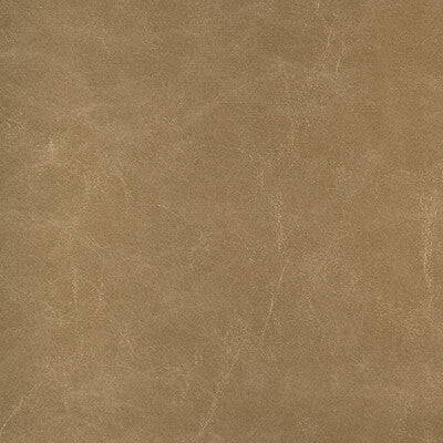 KRAVET DESIGN DUNCAN.106.0 KRAVET DESIGN DUNCAN-106 Fabric - FAUX LEATHER IV