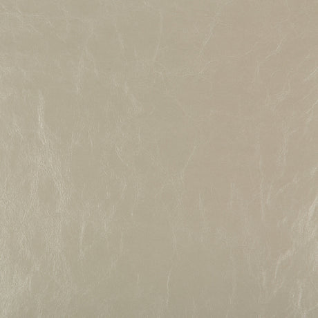 KRAVET DESIGN DUNCAN.1116.0 KRAVET DESIGN DUNCAN-1116 Fabric - Eade's Wallpaper