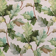 Eade’s DUNCAN FERN FERN