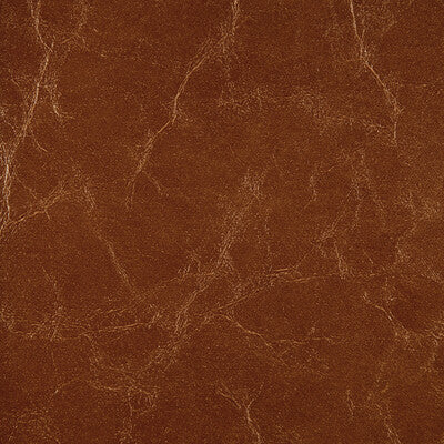 KRAVET DESIGN DUNCAN.606.0 KRAVET DESIGN DUNCAN-606 Fabric - FAUX LEATHER IV