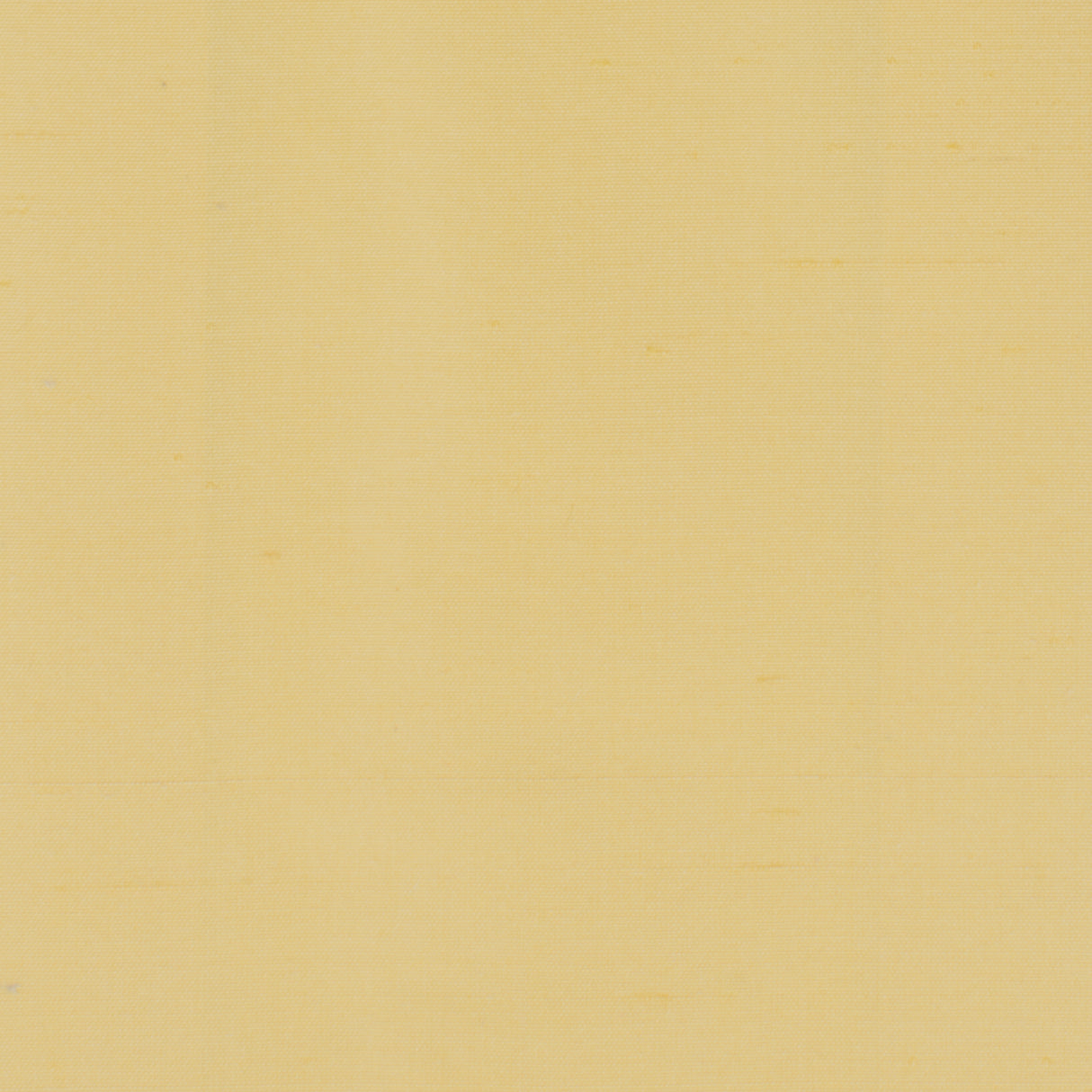 Eade's DUPI-22-sample MAIZE