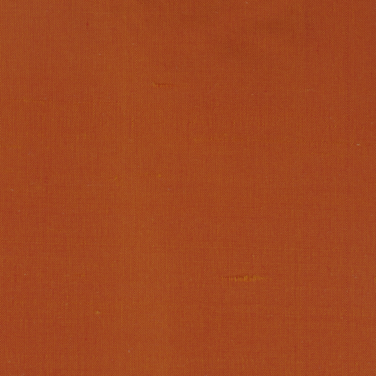 Eade's DUPI-72-sample TIGERLILY