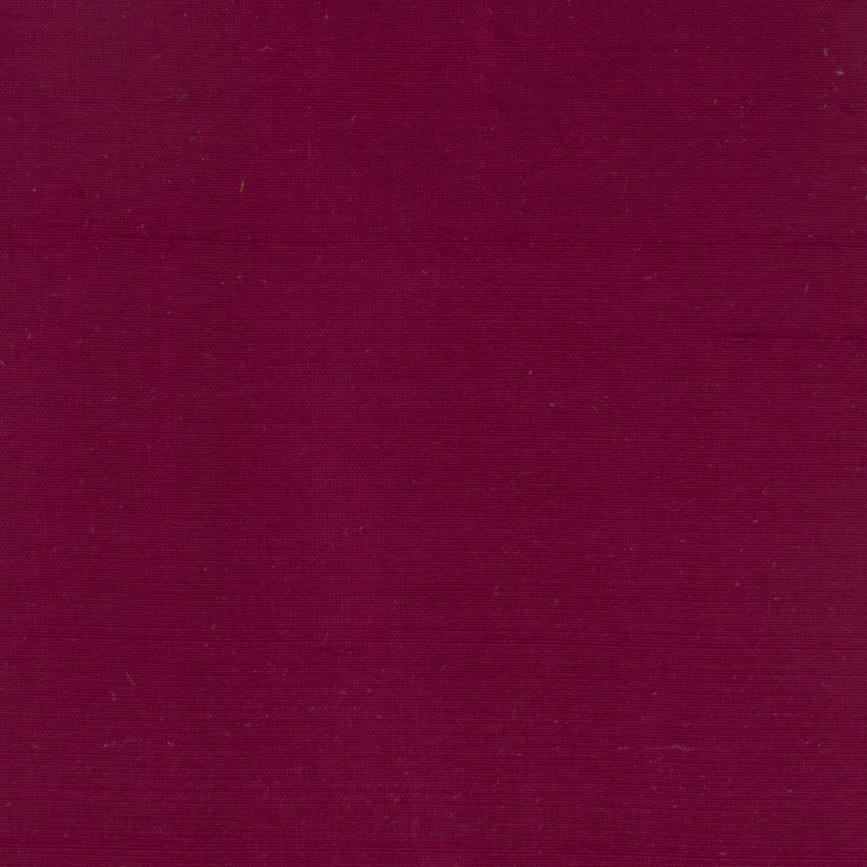 Eade's DUPI-75-sample FUCHSIA