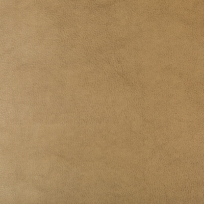 KRAVET DESIGN DUST.106.0 KRAVET DESIGN DUST-106 Fabric - Eade's Wallpaper