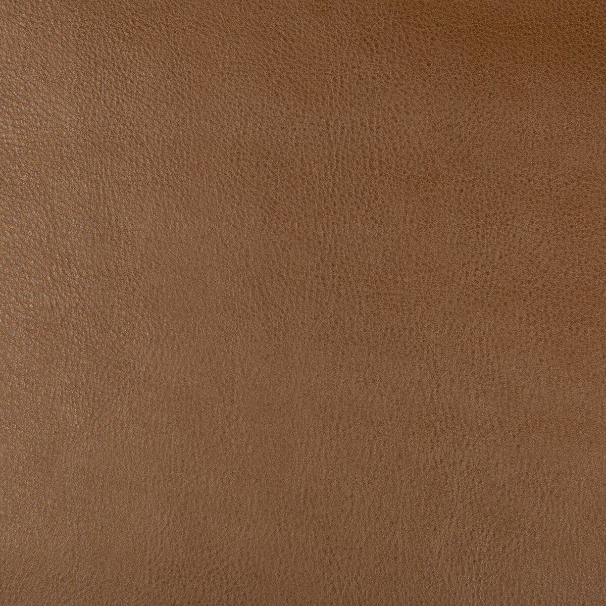 KRAVET DESIGN DUST.6.0 KRAVET DESIGN DUST-6 Fabric - Eade's Wallpaper