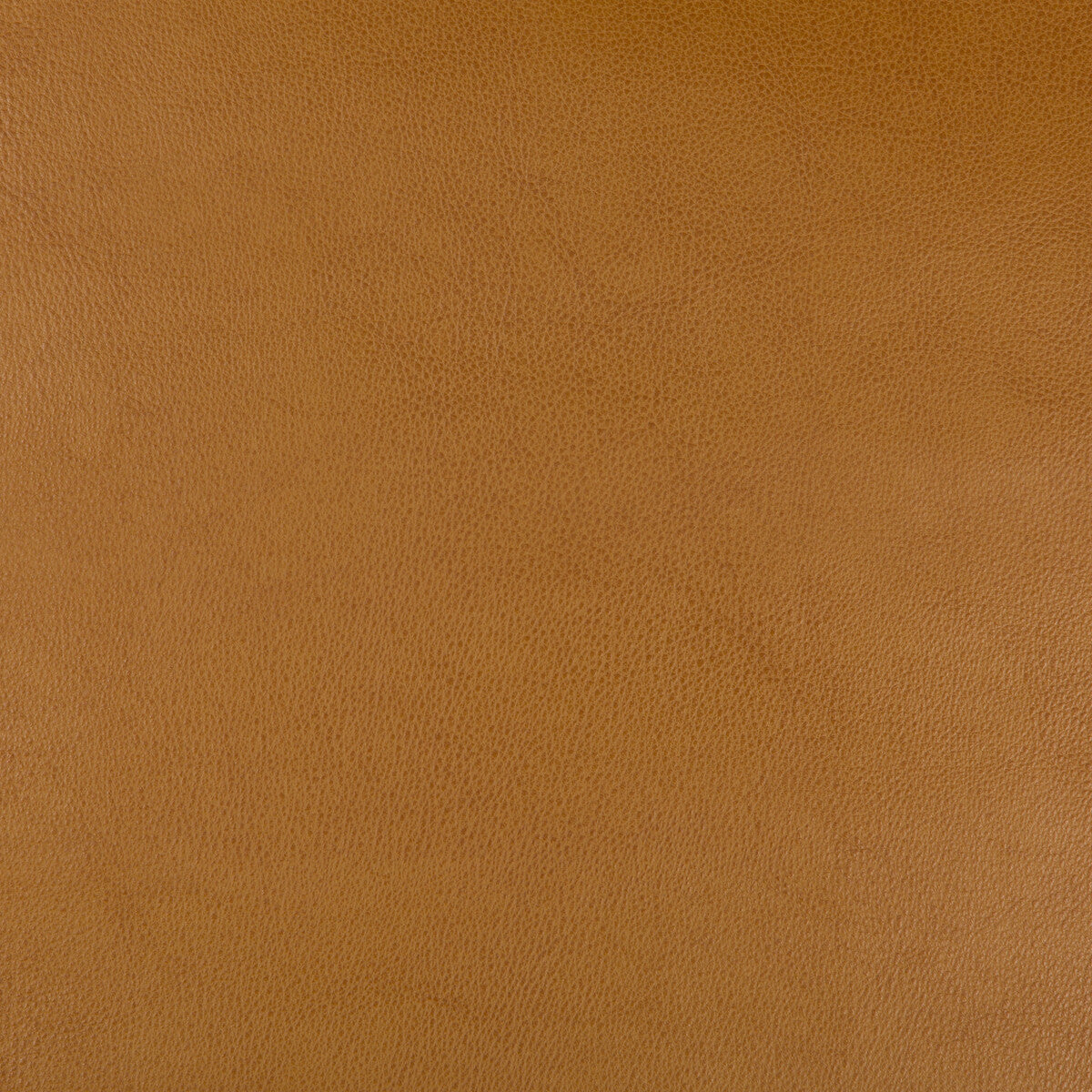 KRAVET DESIGN DUST.624.0 KRAVET DESIGN DUST-624 Fabric - Eade's Wallpaper