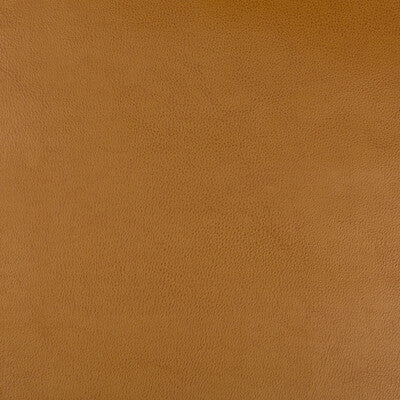 KRAVET DESIGN DUST.624.0 KRAVET DESIGN DUST-624 Fabric - Eade's Wallpaper