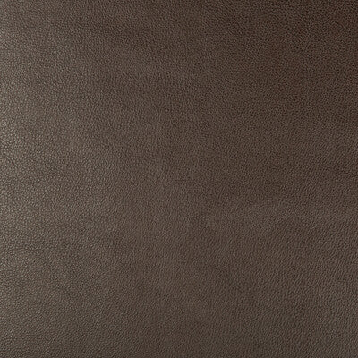 KRAVET DESIGN DUST.66.0 KRAVET DESIGN DUST-66 Fabric - Eade's Wallpaper