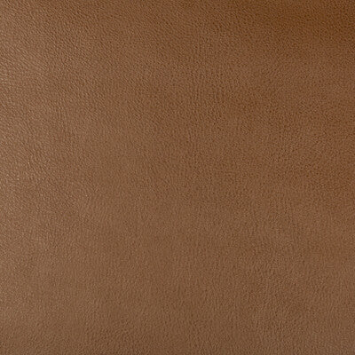 KRAVET DESIGN DUST.6.0 KRAVET DESIGN DUST-6 Fabric - Eade's Wallpaper