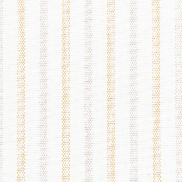STOUT DUTY-1 DUTY 1 HONEY Fabric - Eades Wallpaper & Fabric