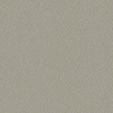 Eade's DWP0232-02-sample Beige