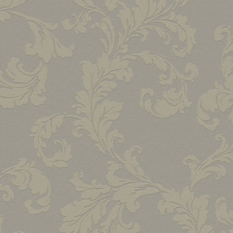 Galerie DWP0250-06 Silver Grey Acanthus trail - Eade's Wallpaper