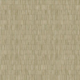 Galerie DWP0362-01 Green Bamboo Screen - Eade's Wallpaper