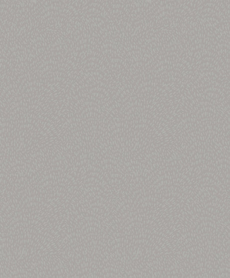 Eade's DWP0363-07-sample Silver Grey